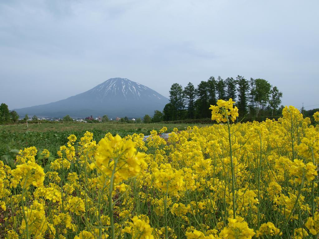Niseko Tabi-Tsumugi Backpackers Hostel Kutchan Ngoại thất bức ảnh